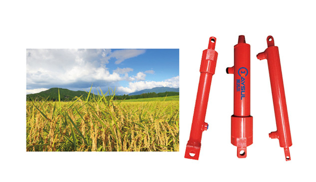 Hydraulic cylinder of rice combine